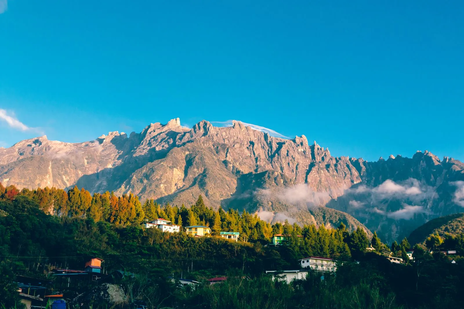 Mount Kinabalu above pine trees and houses in Kundasang under a blue sky