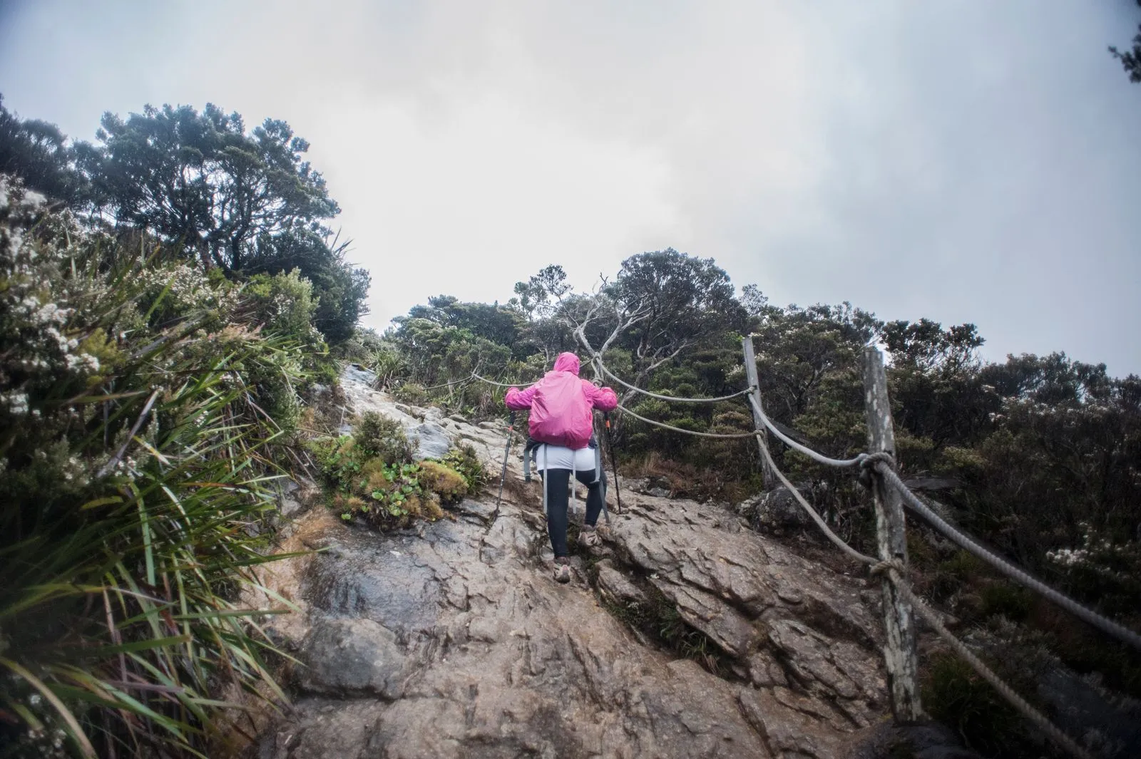 Hiker in a pink jacket climbing a rope-lined rocky section of the Kinabalu summit trail