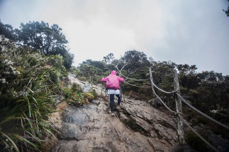 Hiker in a pink jacket climbing a rope-lined rocky section of the Kinabalu summit trail