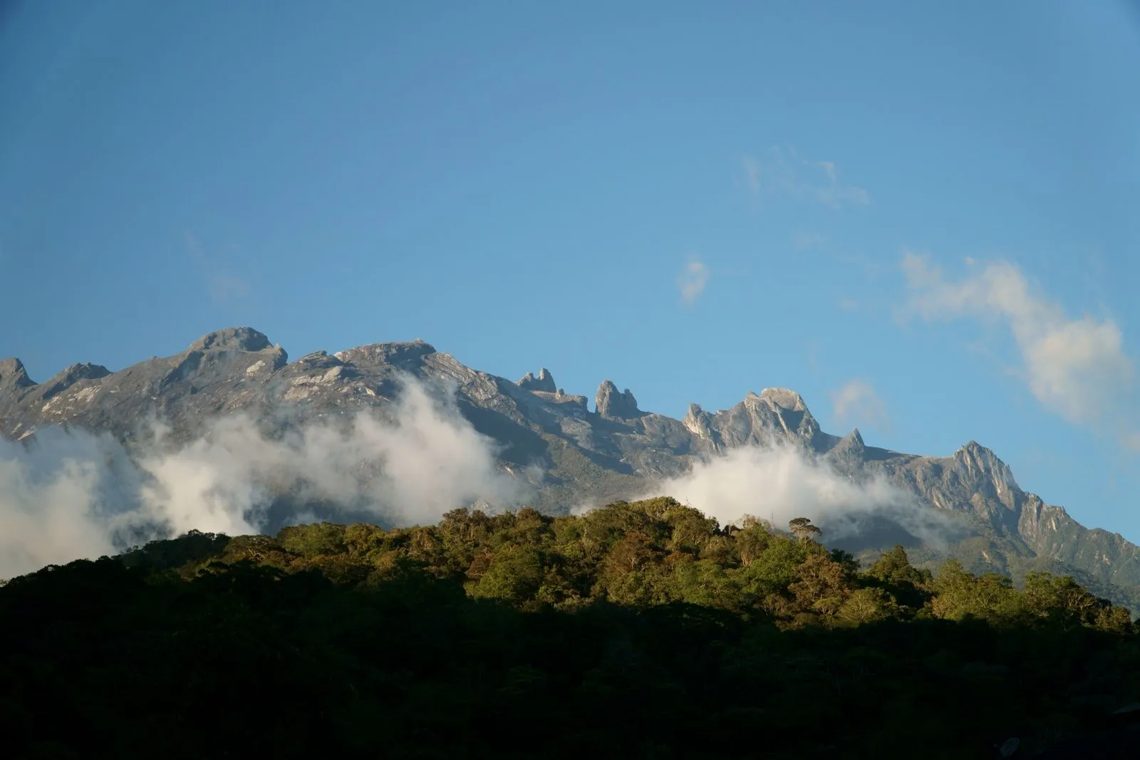 Mount Kinabalu's granite peaks above cloud and forest under a blue sky