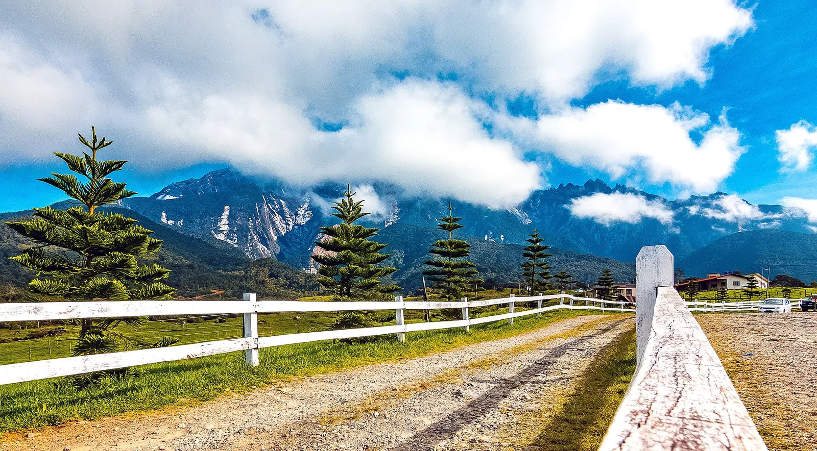White fence and pine trees at Desa Dairy Farm with Mount Kinabalu behind in cloud