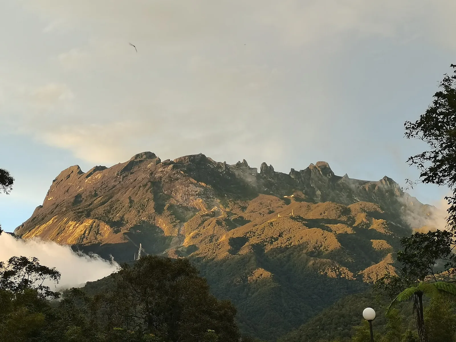 Mount Kinabalu in late-afternoon light, seen from Kinabalu Park