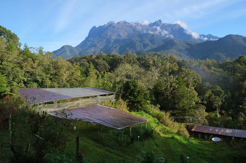 Farming shelters in Kampong Kundasang, near Kinabalu Park entrance, with Mount Kinabalu on the background
