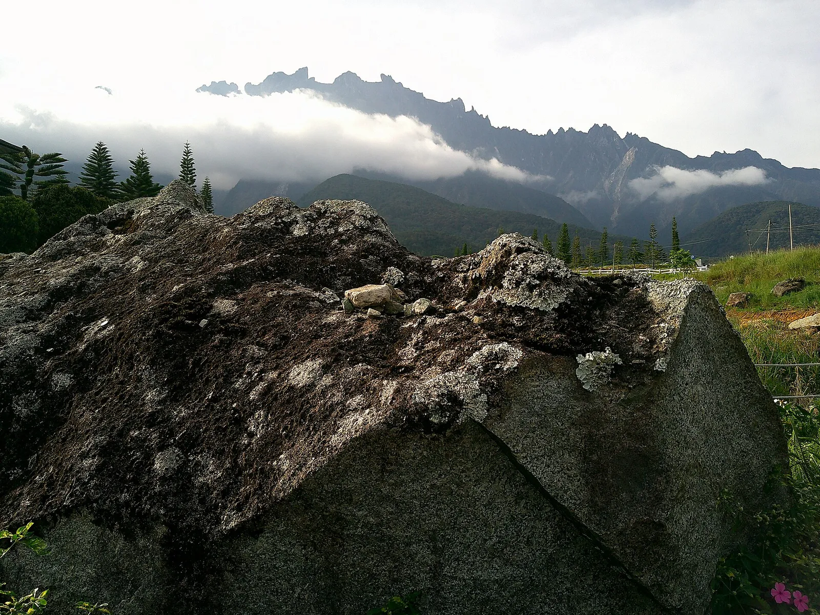 Mount Kinabalu view from Desa Dairy Farm, Kundasang